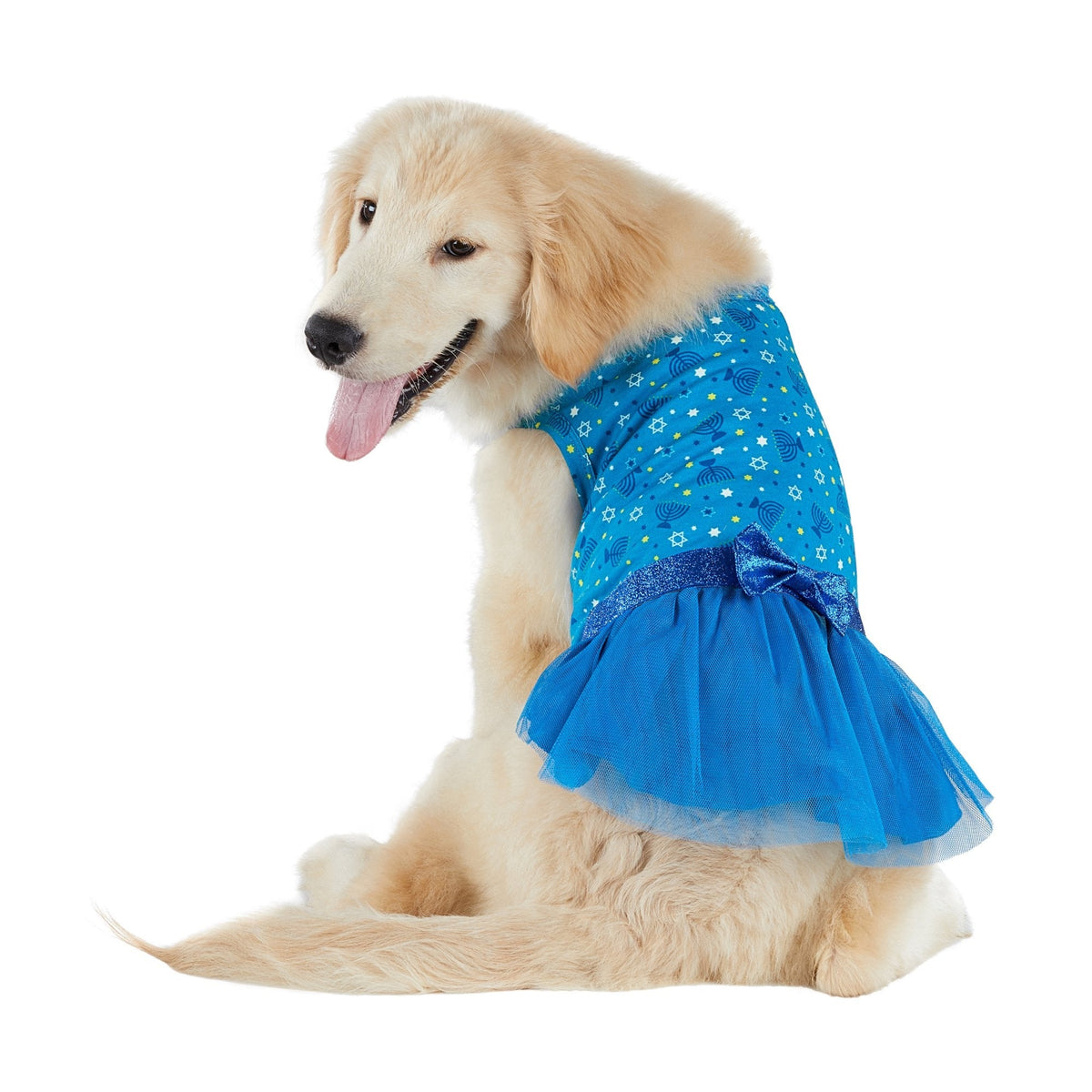 Pet Dresses